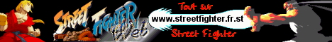 Street Fighter web, fighting on the net